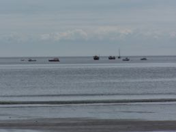 Oxwich boats